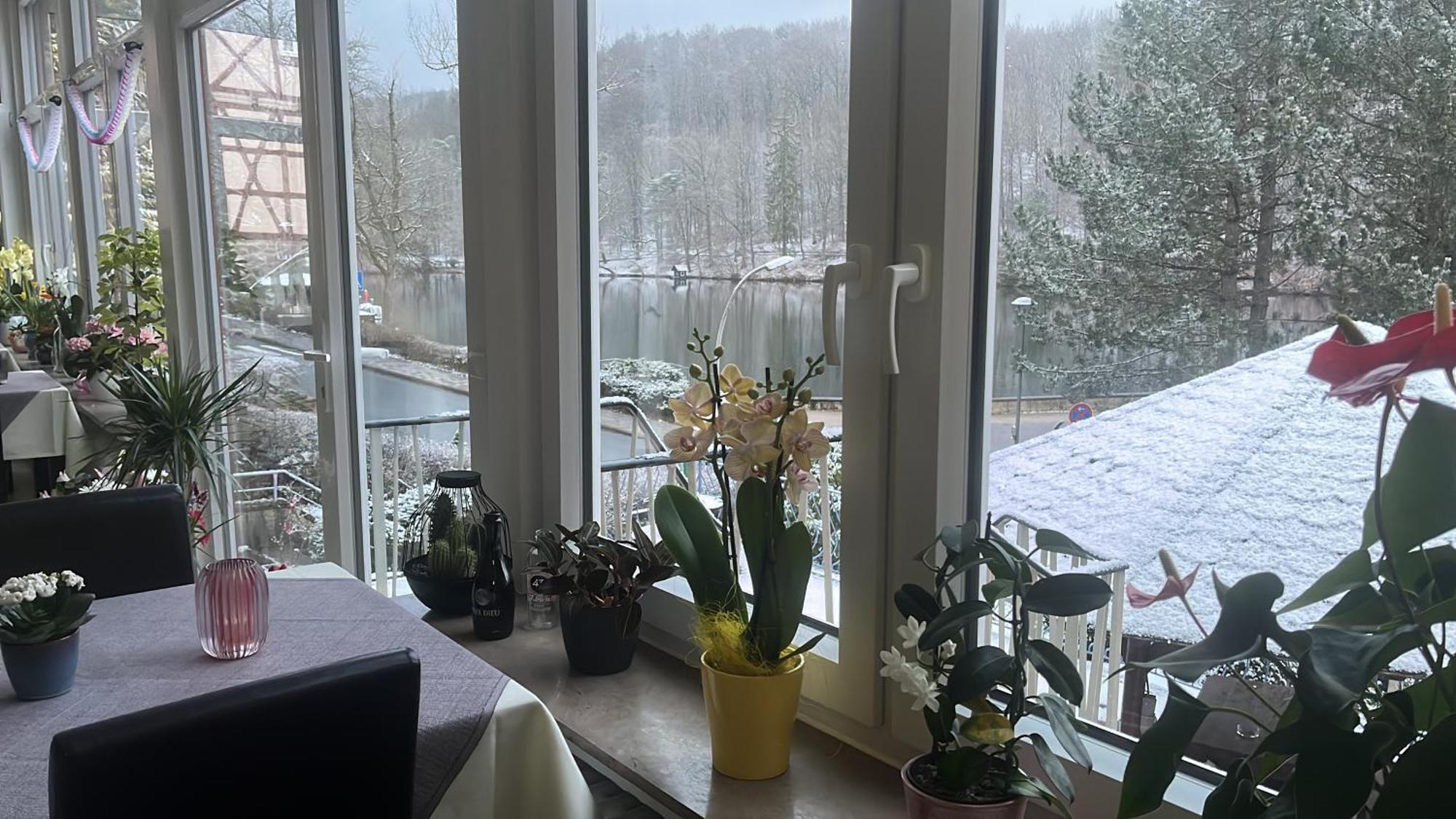 Haus Am See Bad Sachsa Zewnętrze zdjęcie