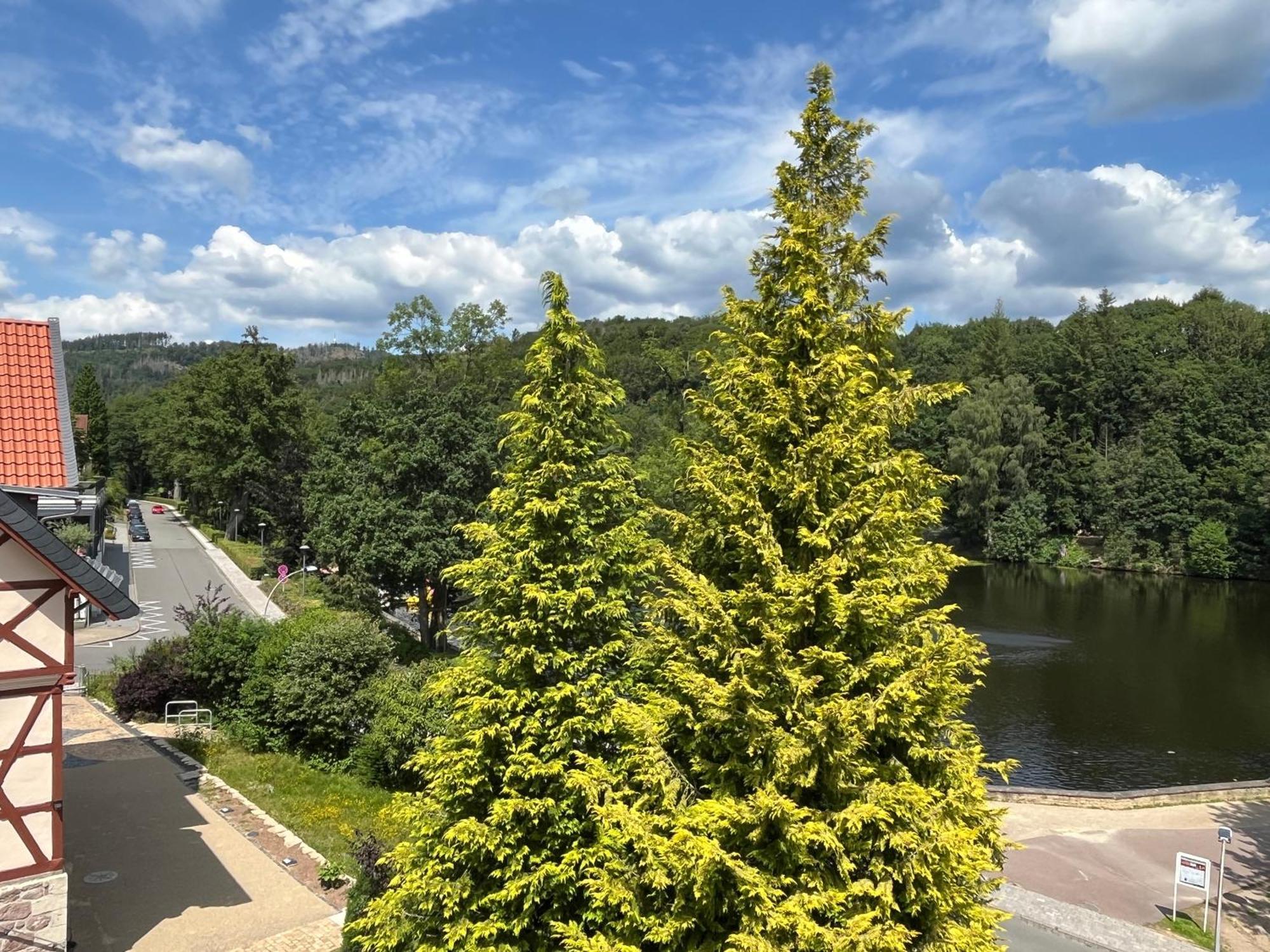 Haus Am See Bad Sachsa Zewnętrze zdjęcie